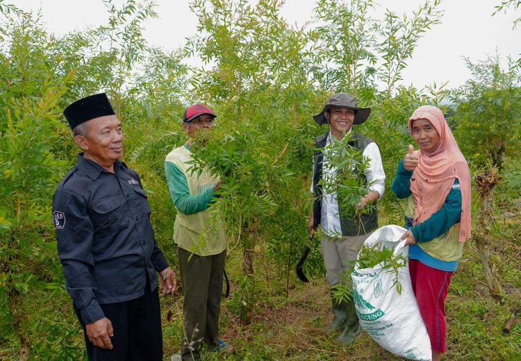 gambar berita