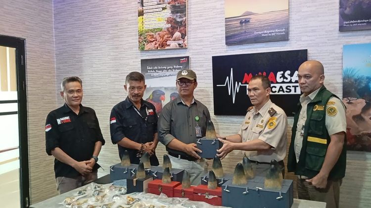 gambar berita