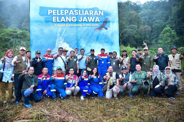 gambar berita