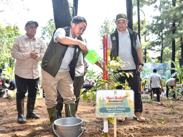 gambar berita
