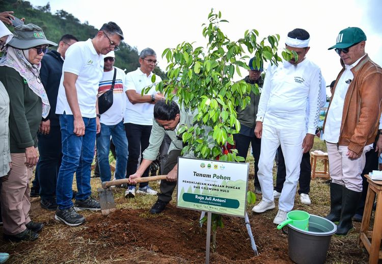 gambar berita