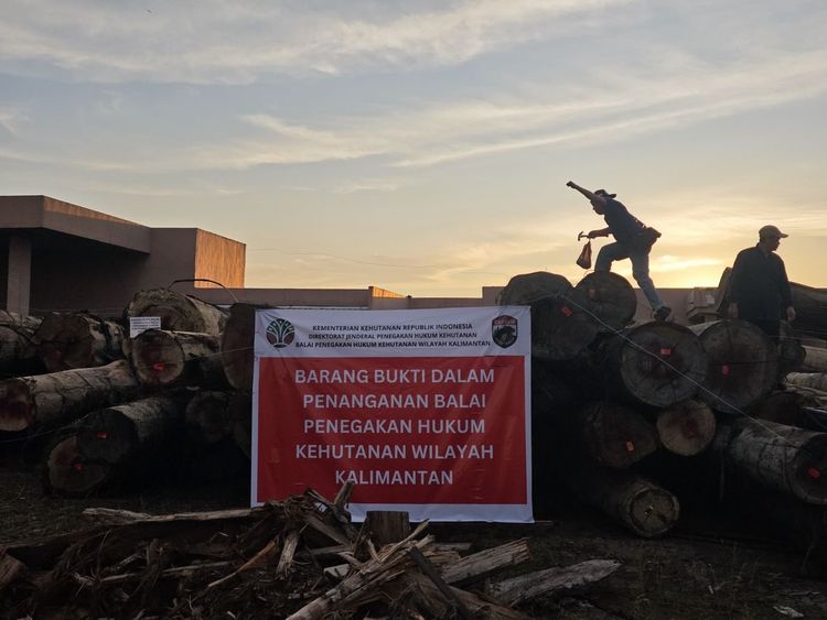 gambar berita