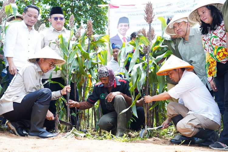 gambar berita