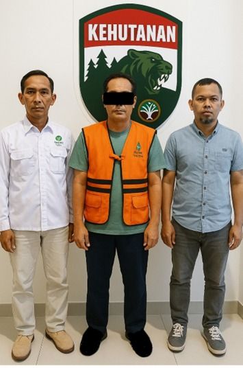 Gakkum Kehutanan Tangkap Pelaku Perdagangan Sisik Trenggiling, Bagian dari Sindikat Kejahatan Transnasional Terorganisir