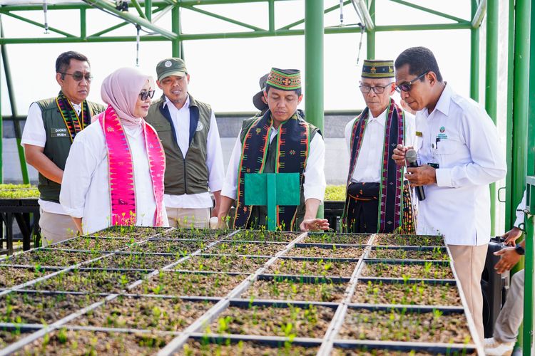 gambar berita