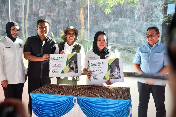gambar berita