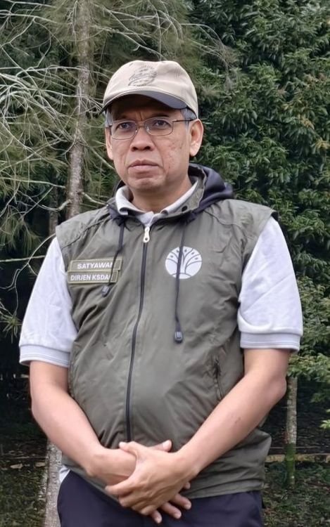 gambar berita