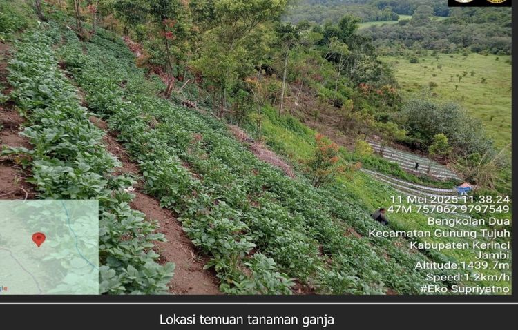 gambar berita